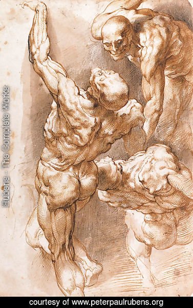 Rubens - Anatomical studies Three nudes