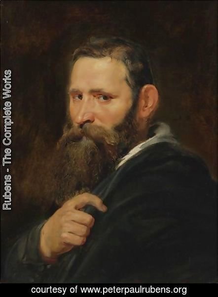 Rubens - Head Of A Bearded Man