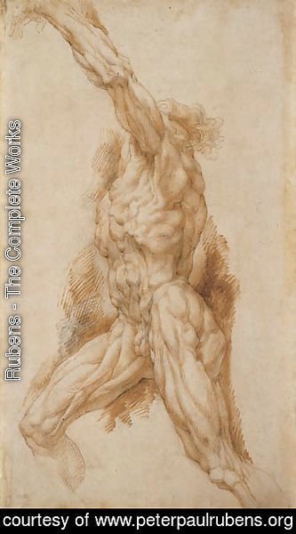 Anatomical Study of a Man Reaching Up to the Left