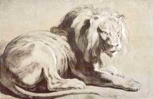 Rubens - Etude of lion