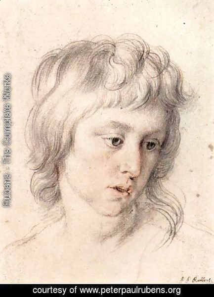 Rubens - Portrait of boy