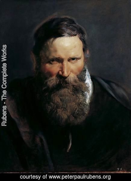 Rubens - Head of a bearded man 2