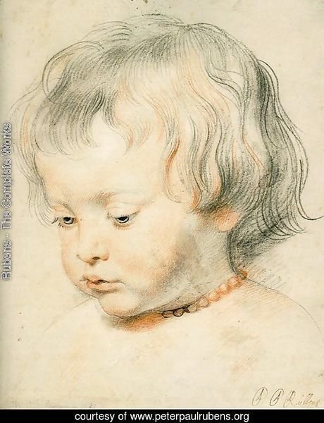 Portrait of a Boy (Nicholas Rubens)