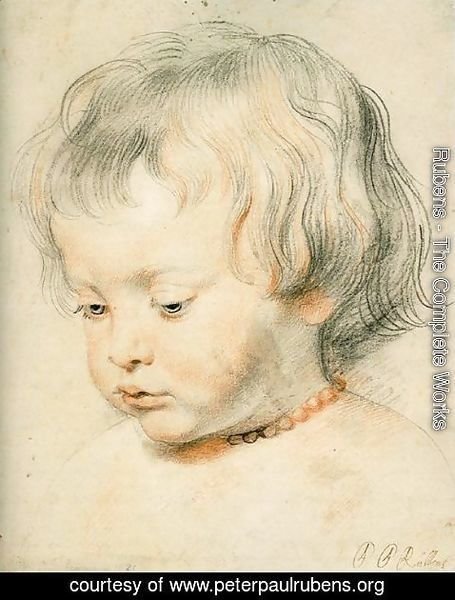 Rubens - Portrait of a Boy (Nicholas Rubens)