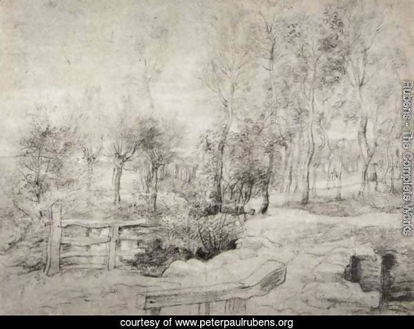 Landscape with a trees