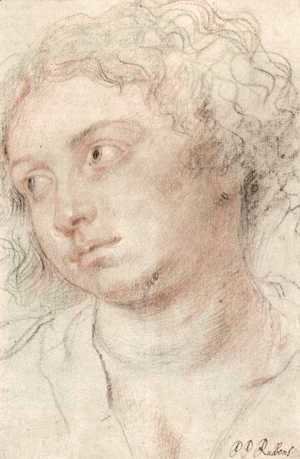 Rubens - Head of woman 2